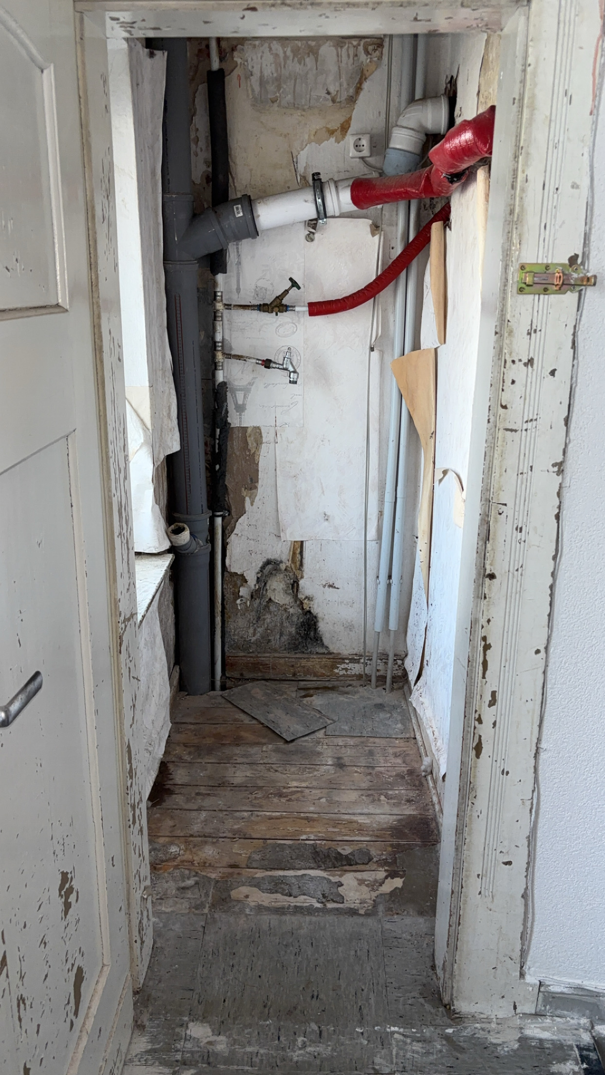 Referenzbild von TP Cleanouts