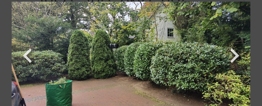 Referenzbild von RF Haus & Gartenservice